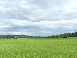 Slåttermyren Vasikkavuoma där kielipesä anordnas.